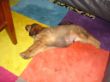 DSC04018.JPG