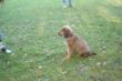 DSC04056.JPG