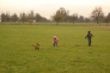 DSC04102.JPG