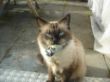 DSC03923.JPG